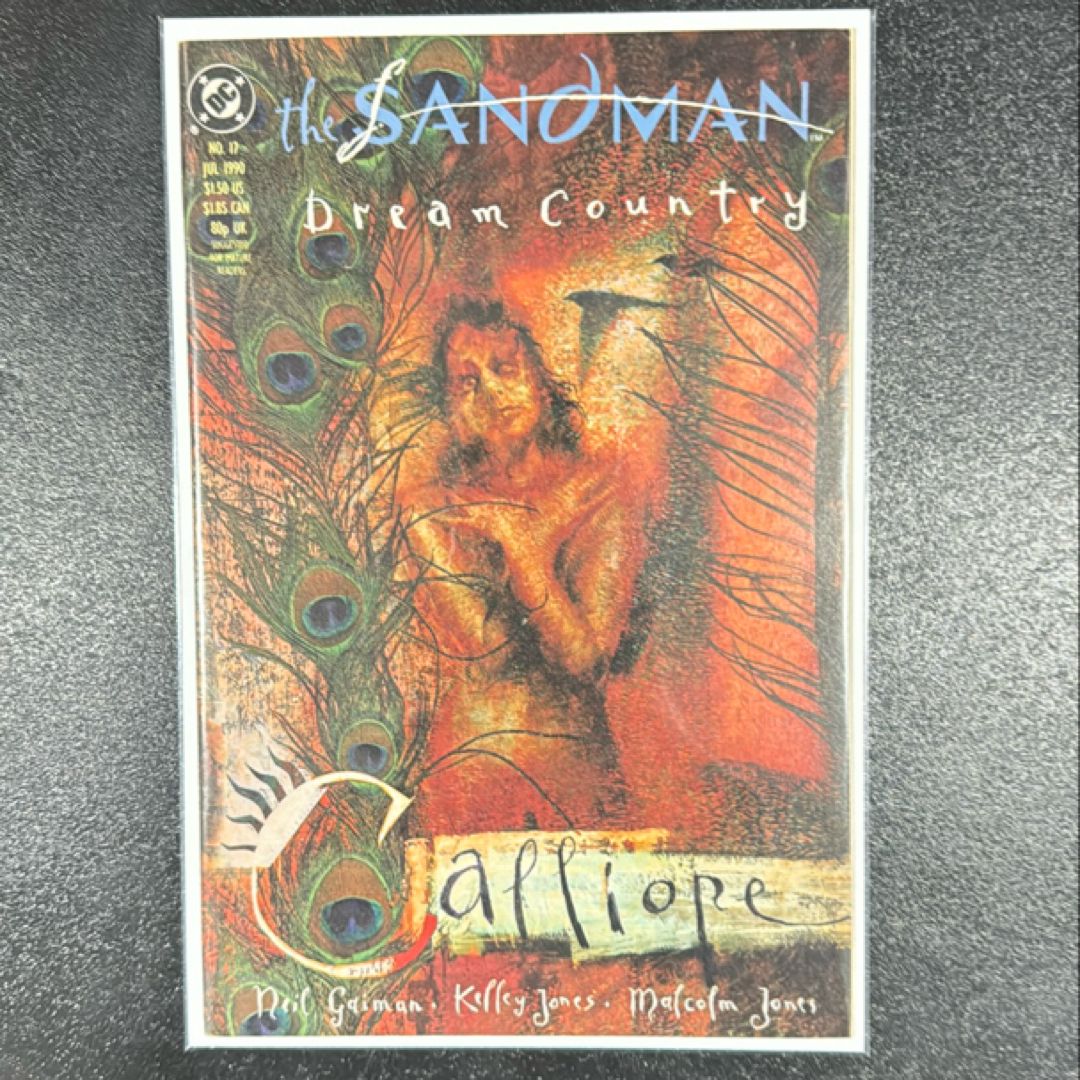 the Sandman # 17 July 1990 Dream Country DC Comics  