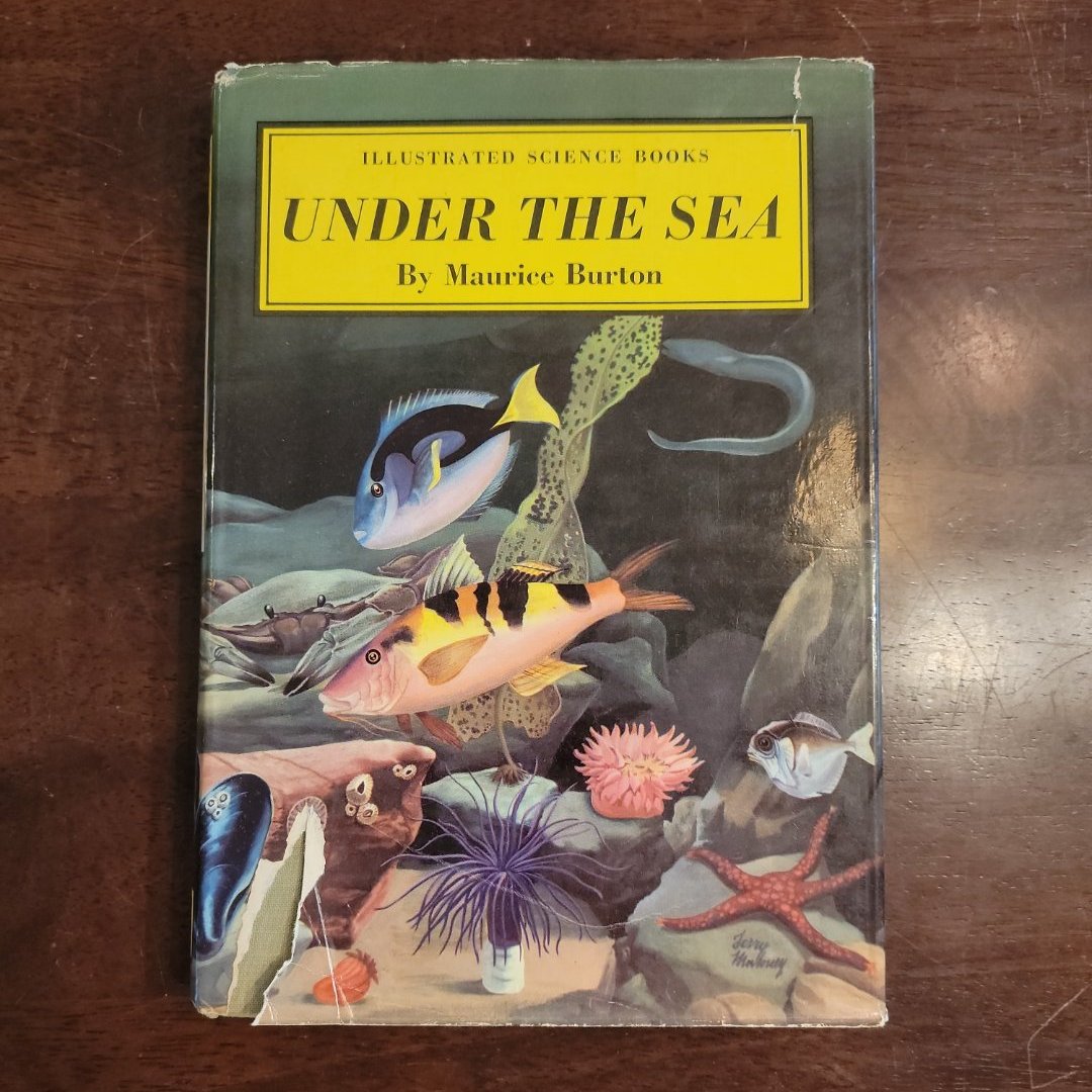 Under the Sea