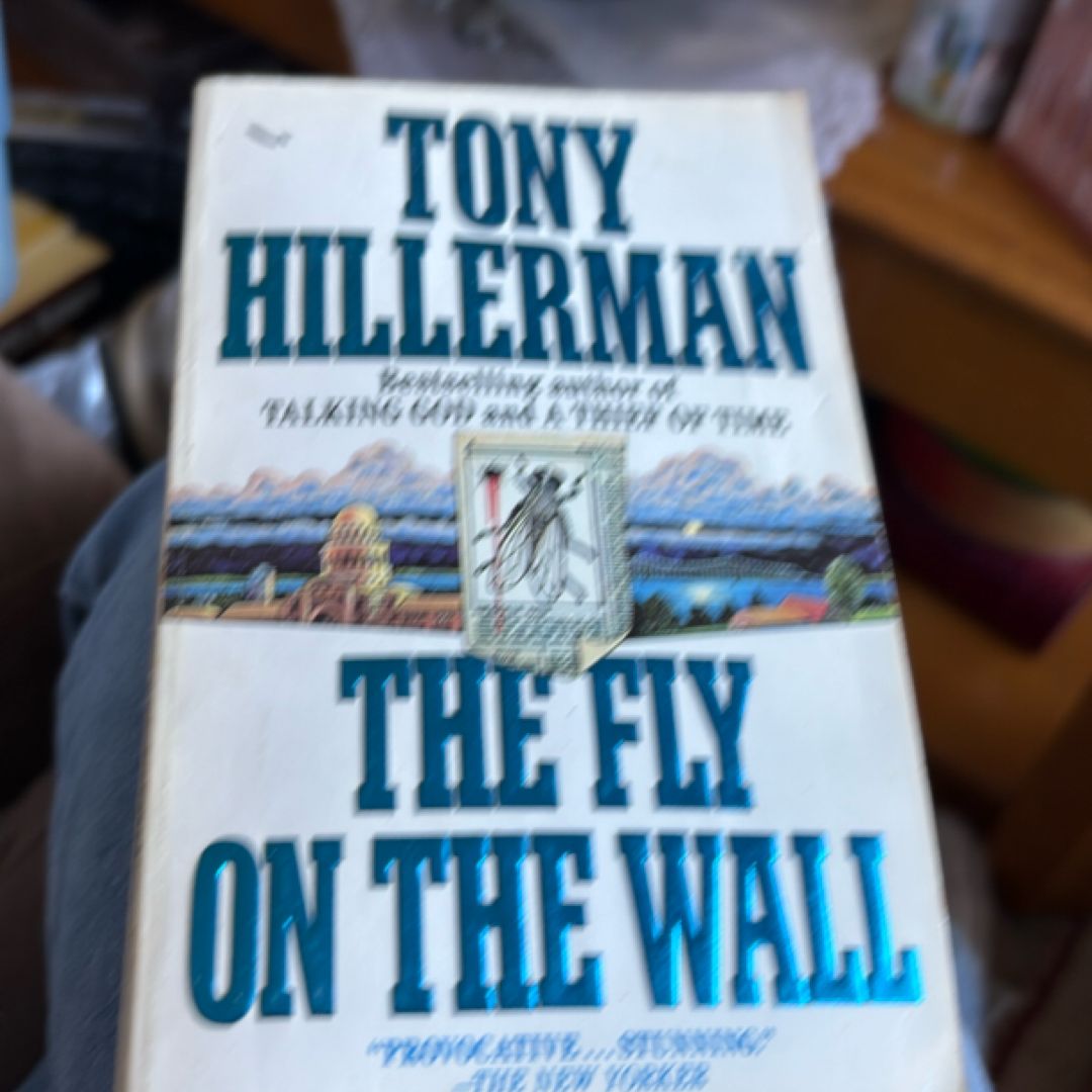The Fly on the Wall