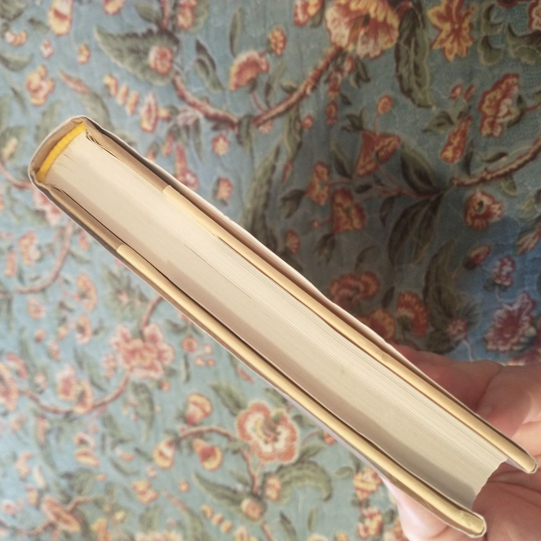 The Good Husband of Zebra Drive