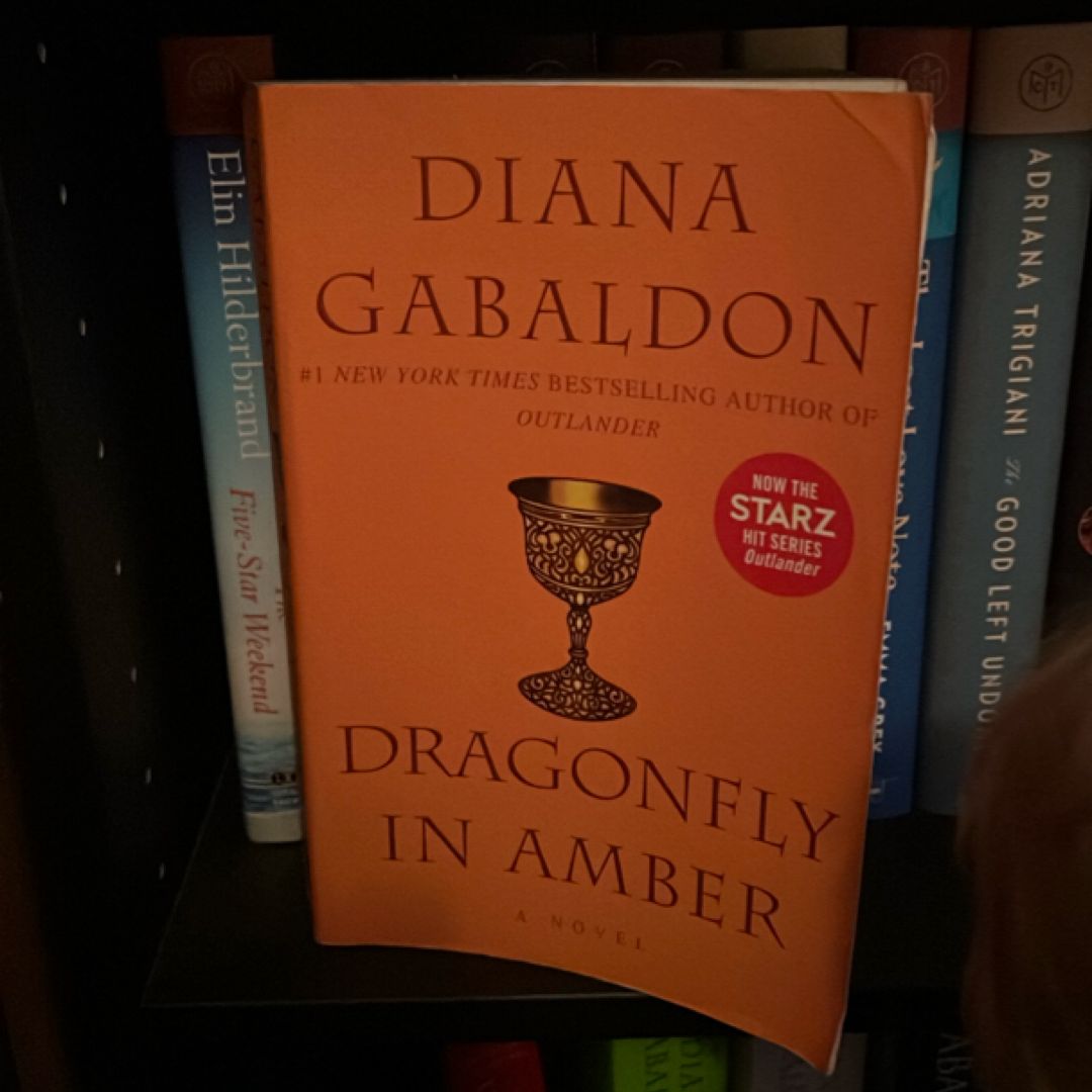 Dragonfly in Amber