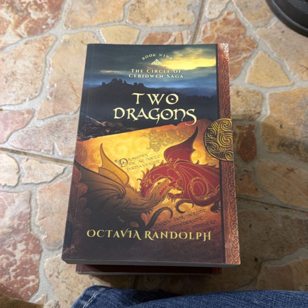 Two Dragons: Book Nine of The Circle of Ceridwen Saga