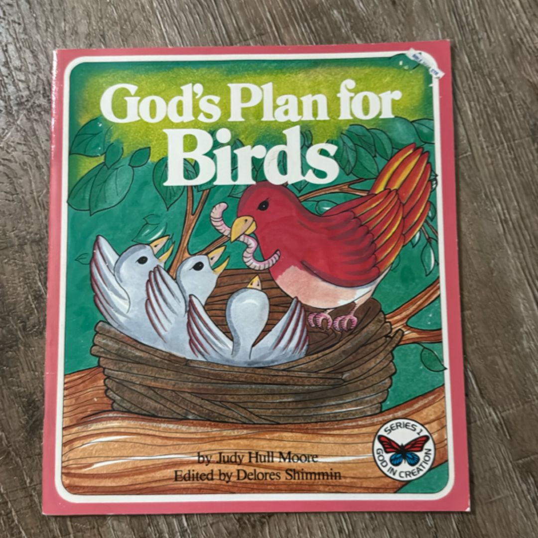 God's Plan for Birds