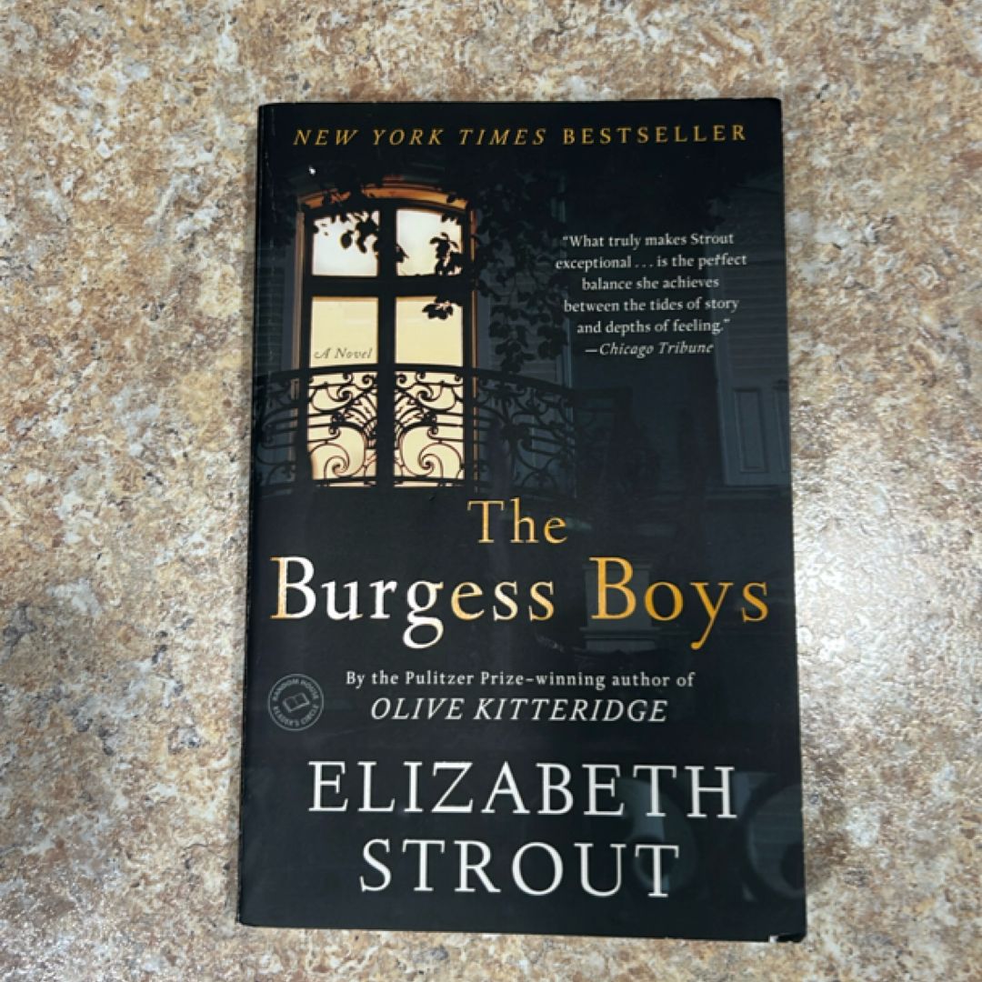 The Burgess Boys