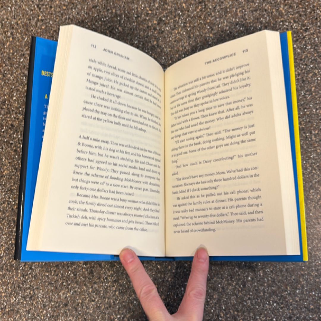 Theodore Boone: the Accomplice