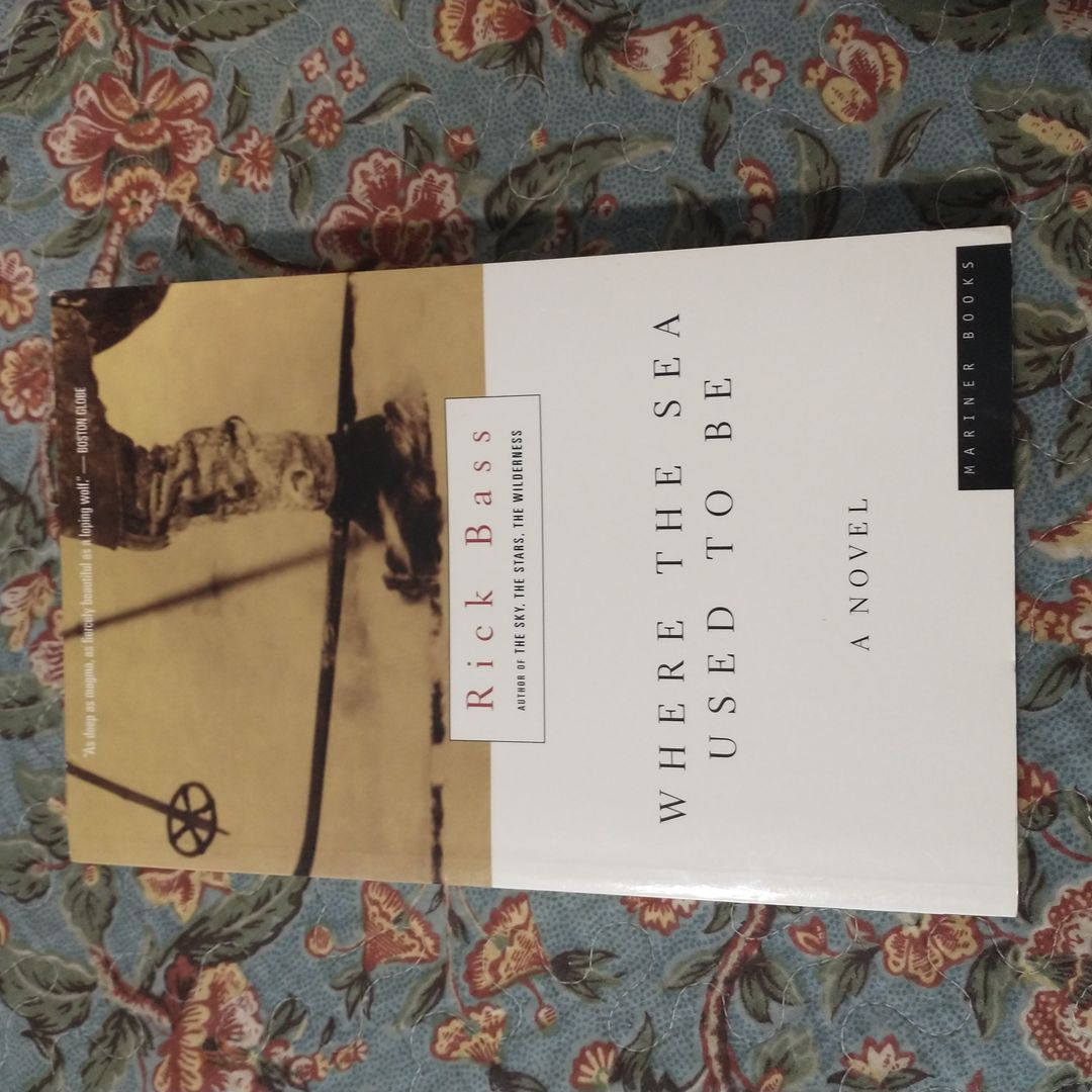 Where the Sea Used to Be