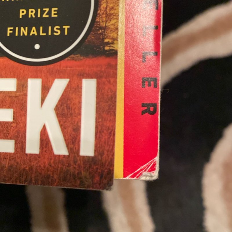 A Tale for the Time Being