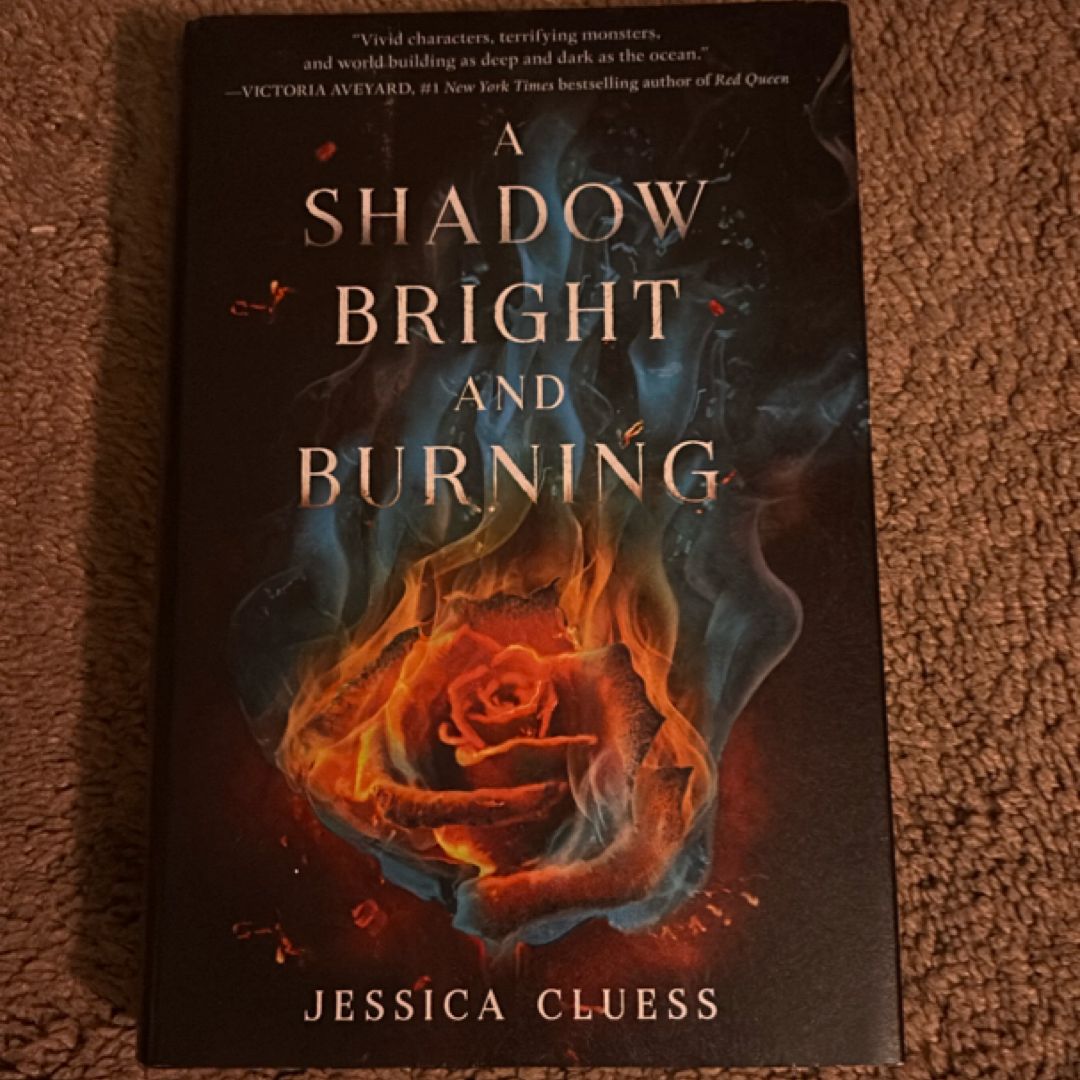 A Shadow Bright and Burning