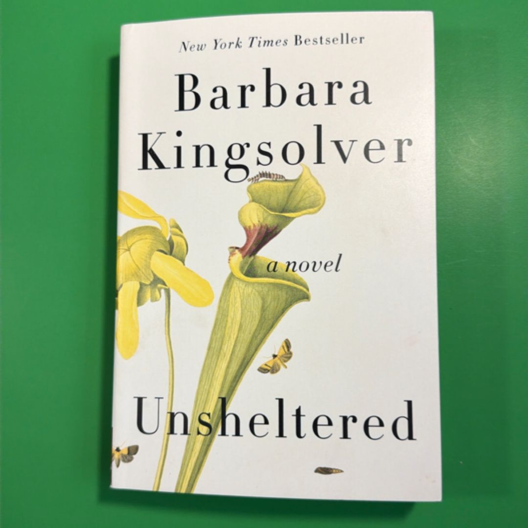 Unsheltered