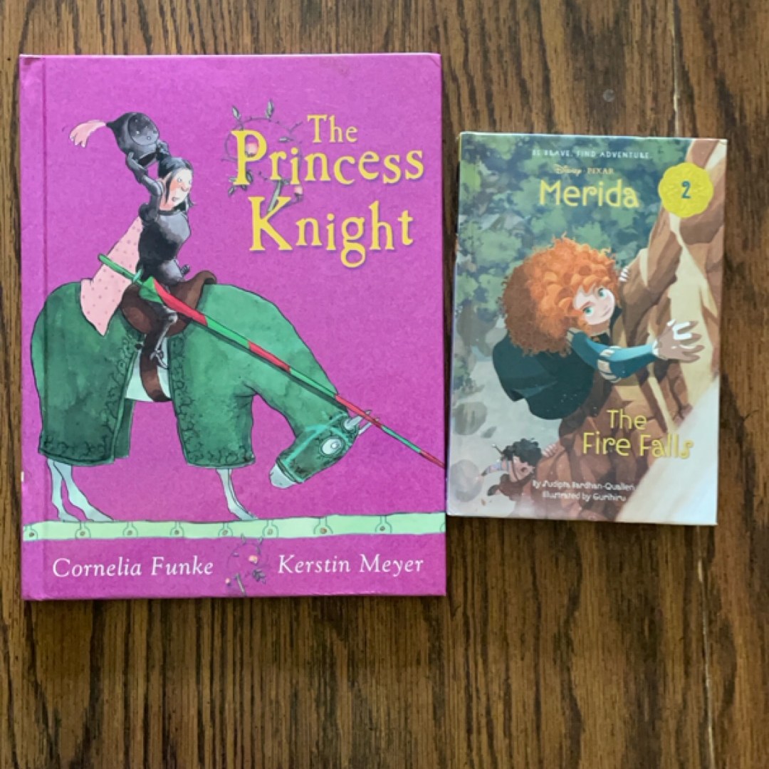 The Princess Knight