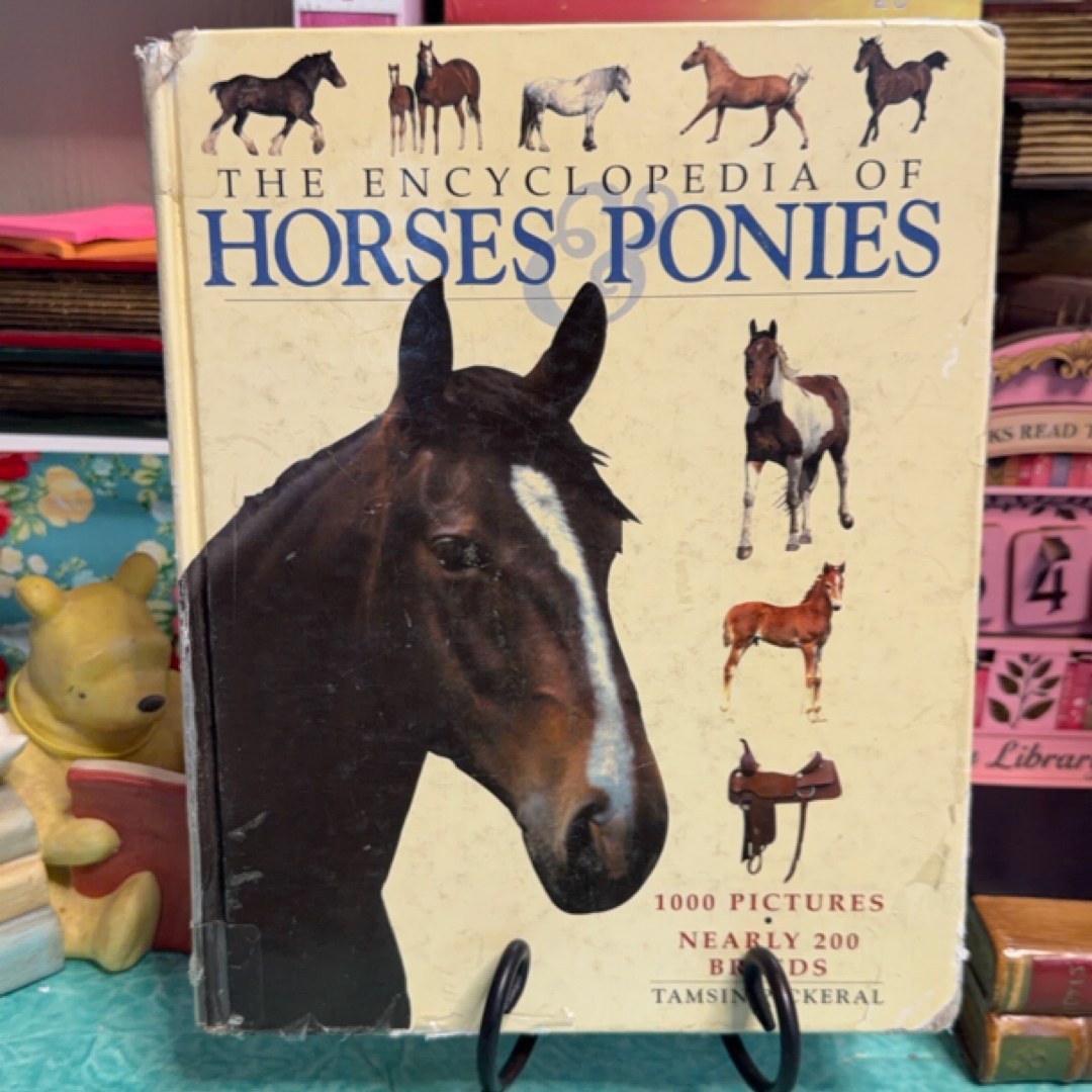 Horses and Ponies