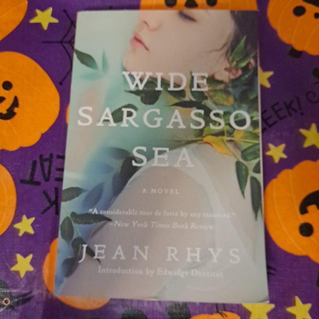 Wide Sargasso Sea