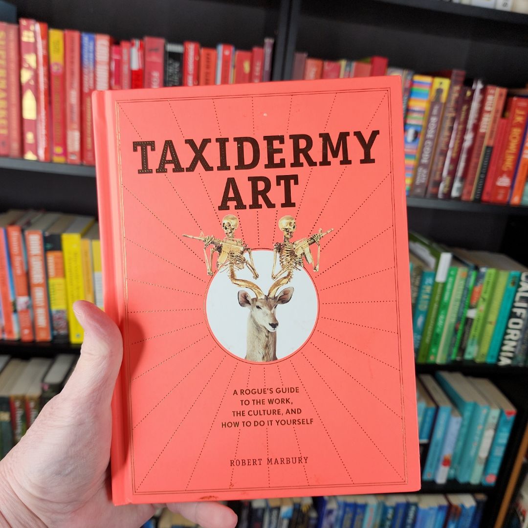 Taxidermy Art