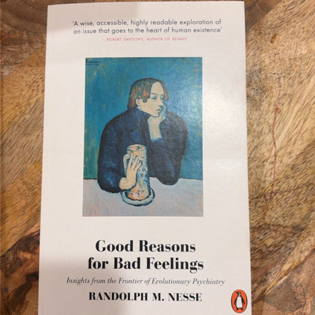 Good Reasons for Bad Feelings