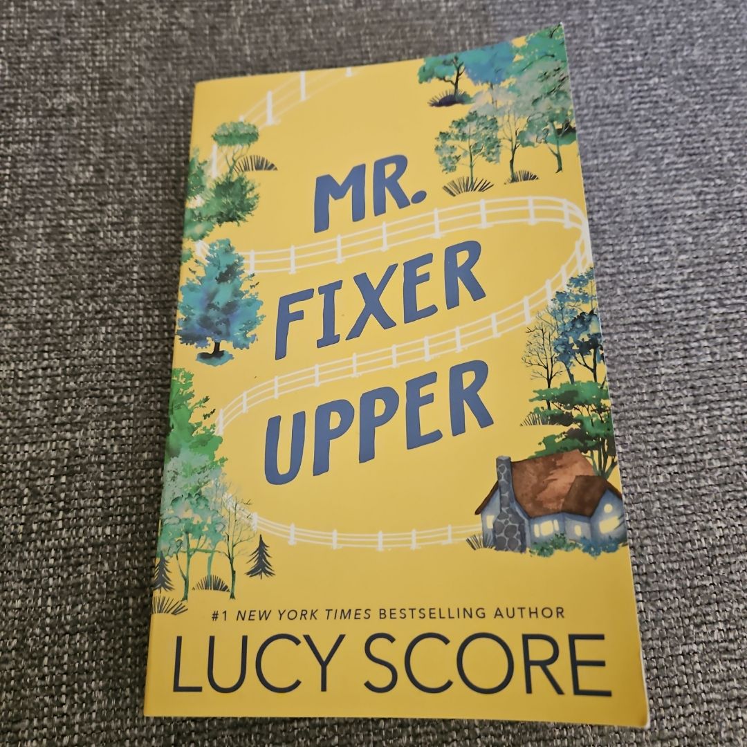 Mr. Fixer Upper