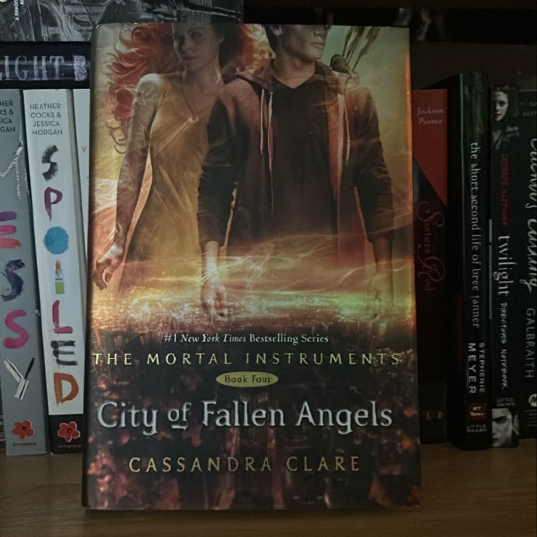 City of Fallen Angels