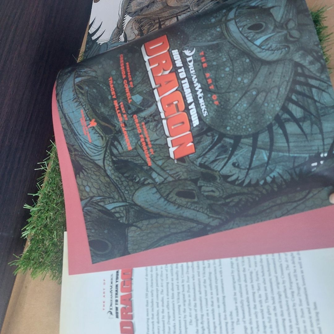 The Art of How to Train Your Dragon