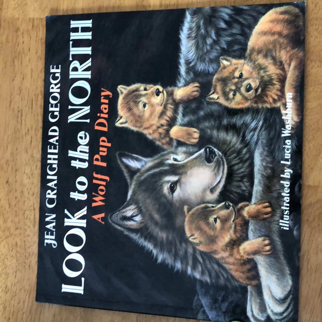 Look to the North