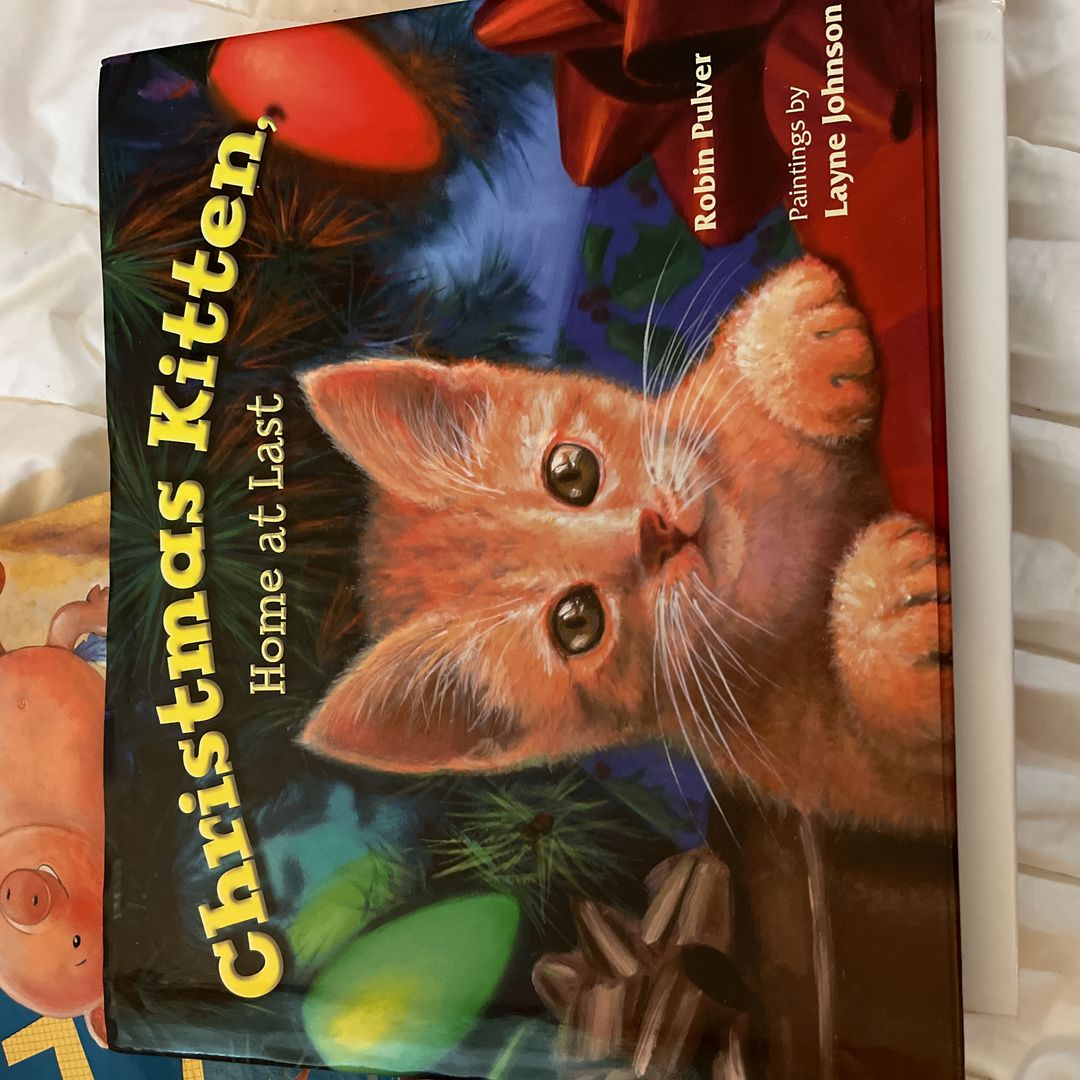 Christmas Kitten, Home at Last