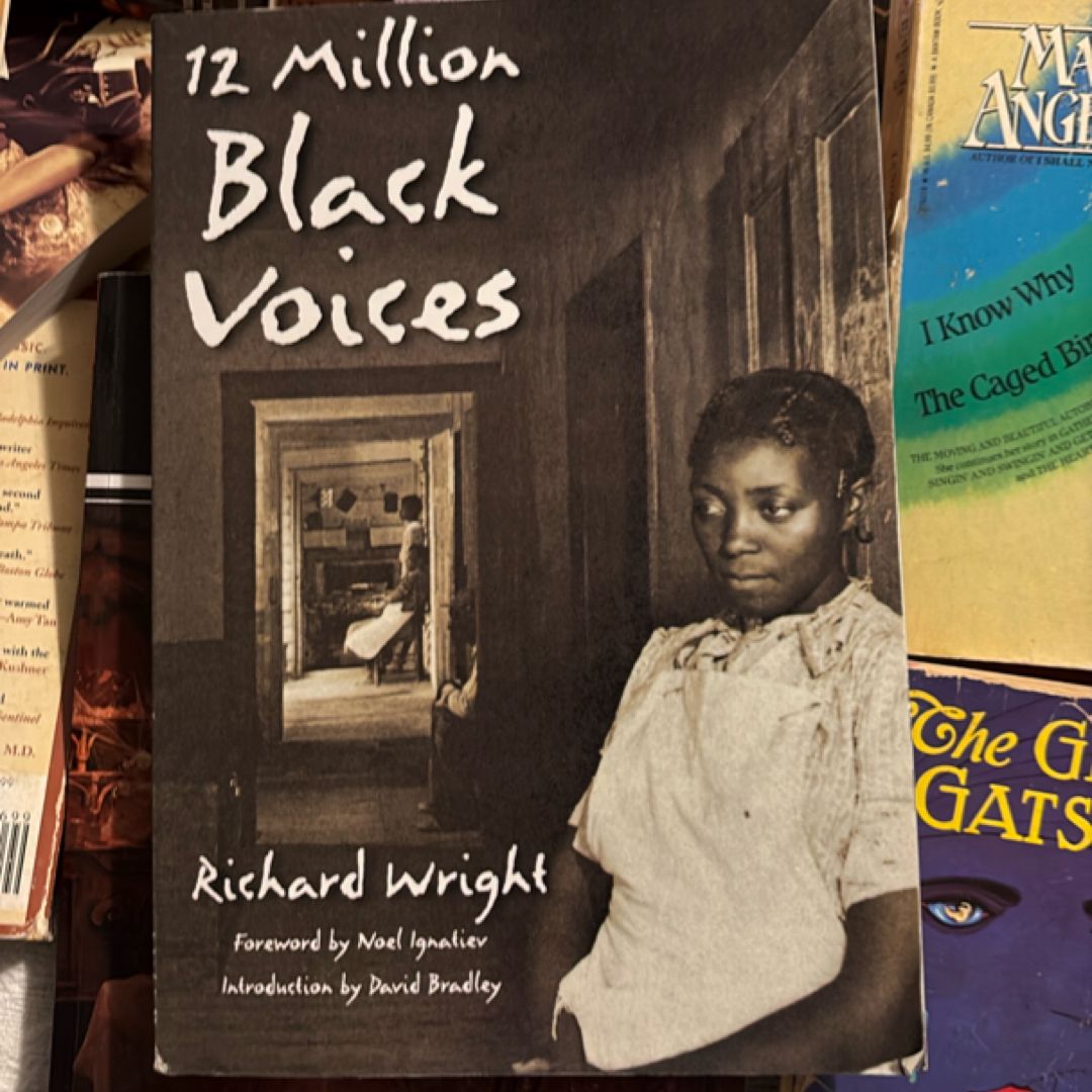 12 Million Black Voices