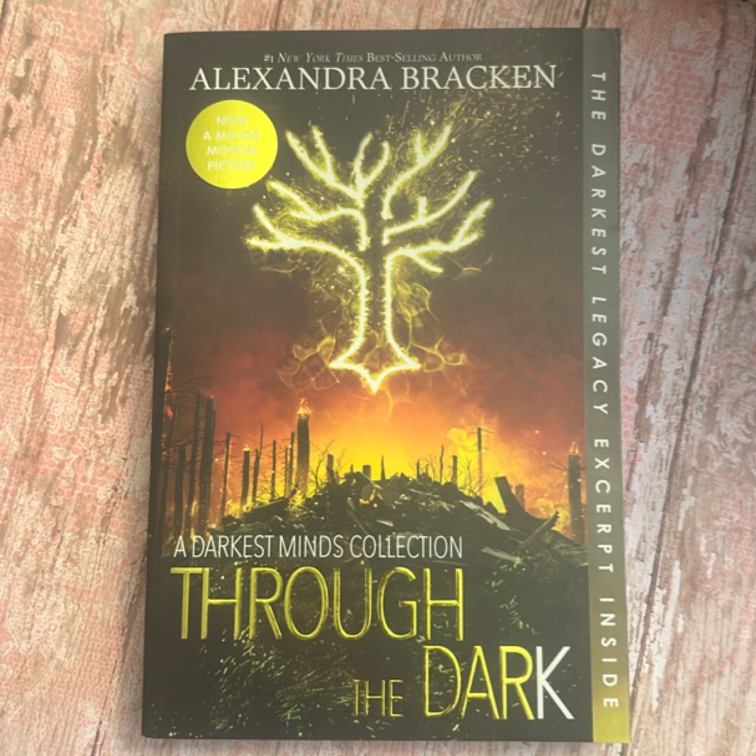 Through the Dark (Bonus Content) (a Darkest Minds Collection)
