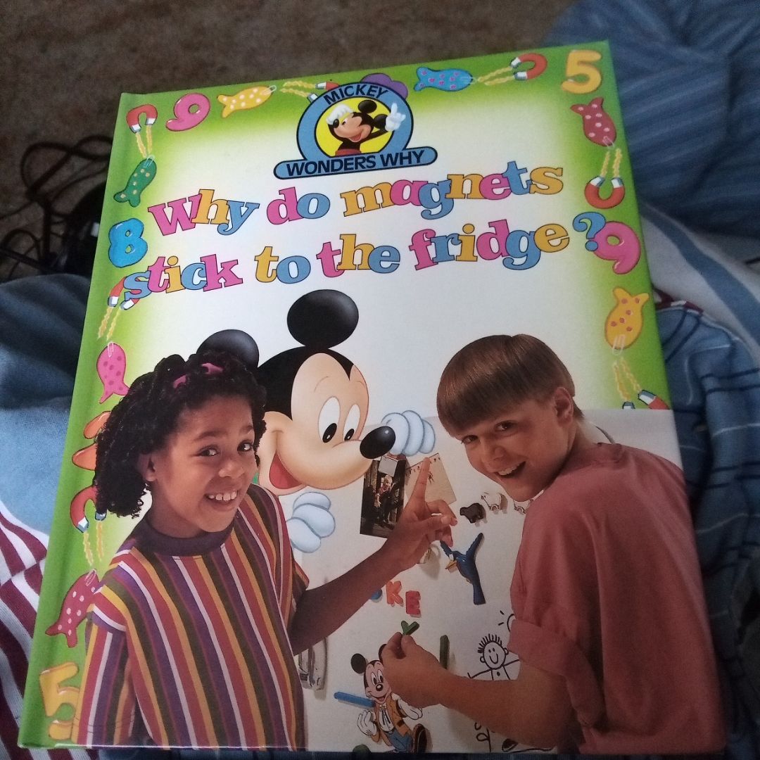 Why Do Magnets Stick to the Fridge?