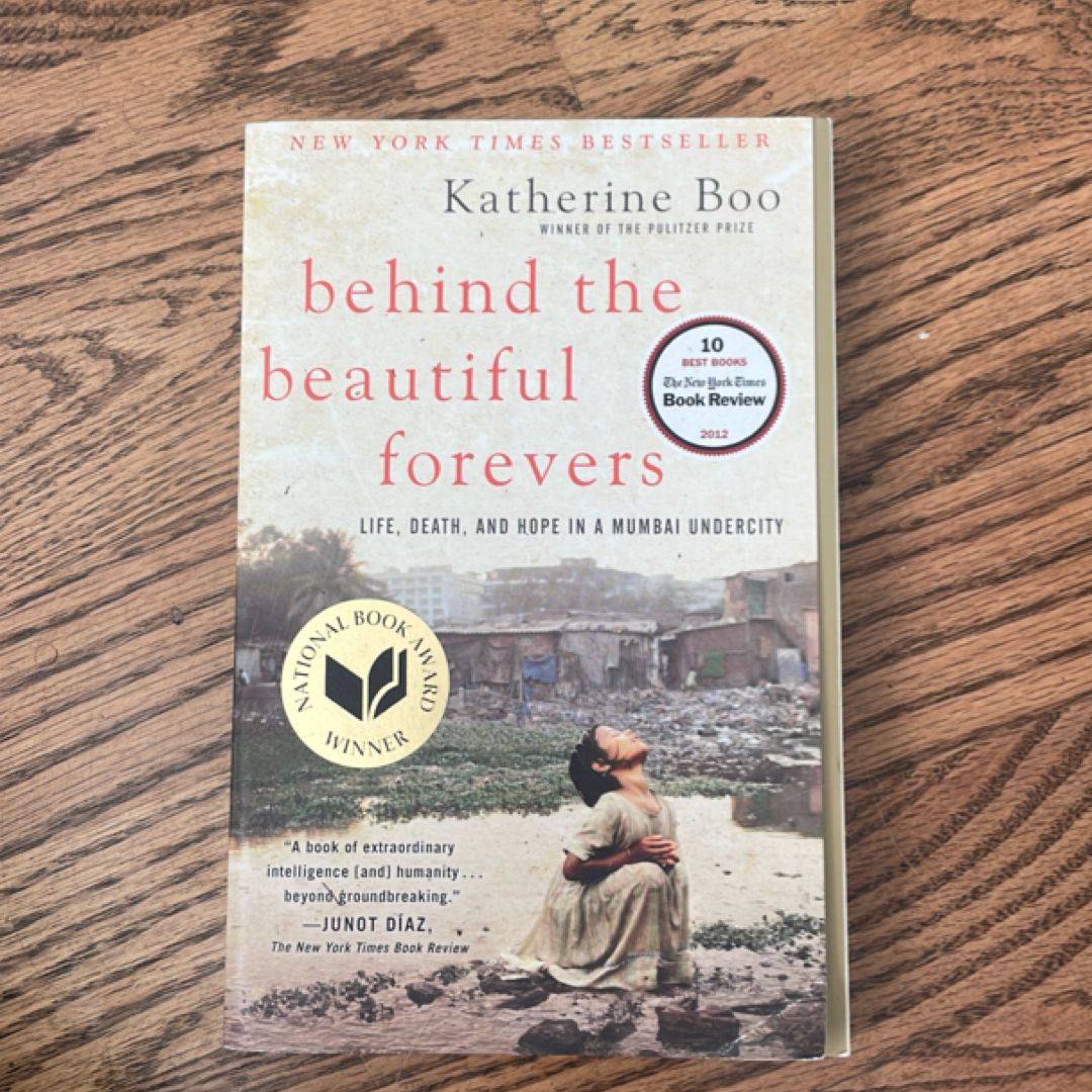 Behind the Beautiful Forevers