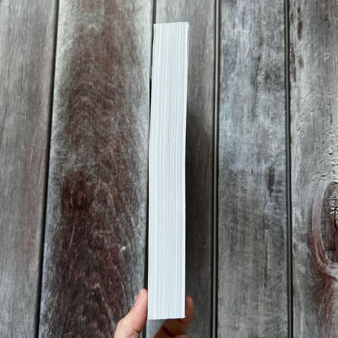 Fake It Til You Break It : Alternate Cover Edition