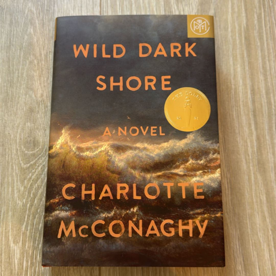 Wild Dark Shore