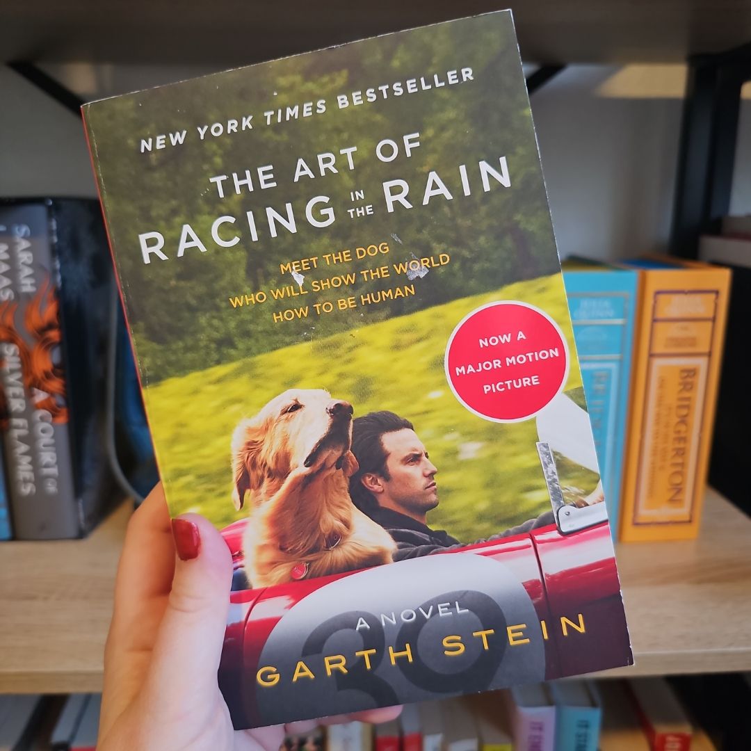 The Art of Racing in the Rain