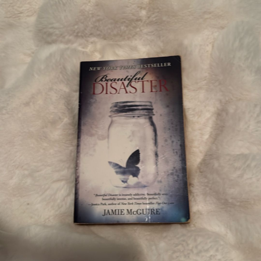 Beautiful Disaster