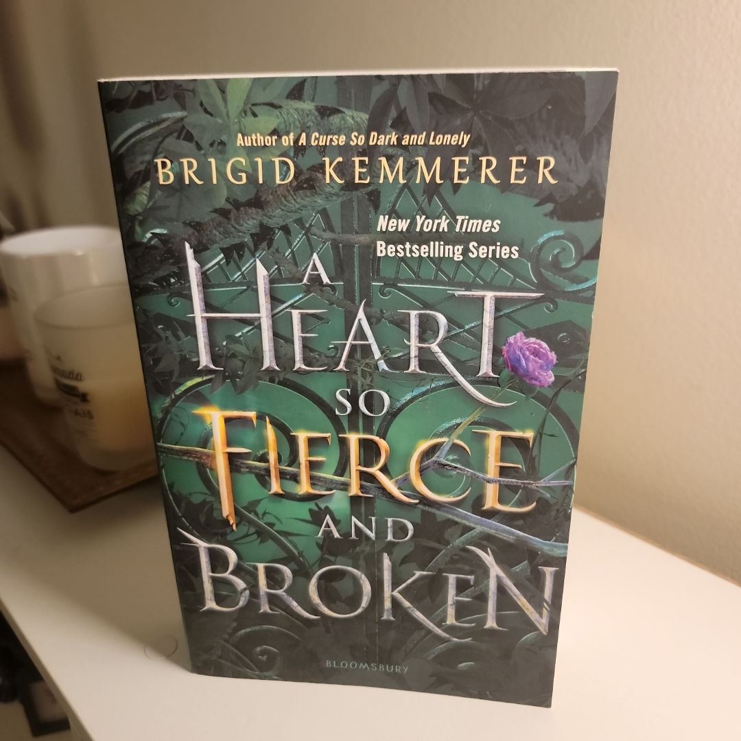 A Heart So Fierce and Broken