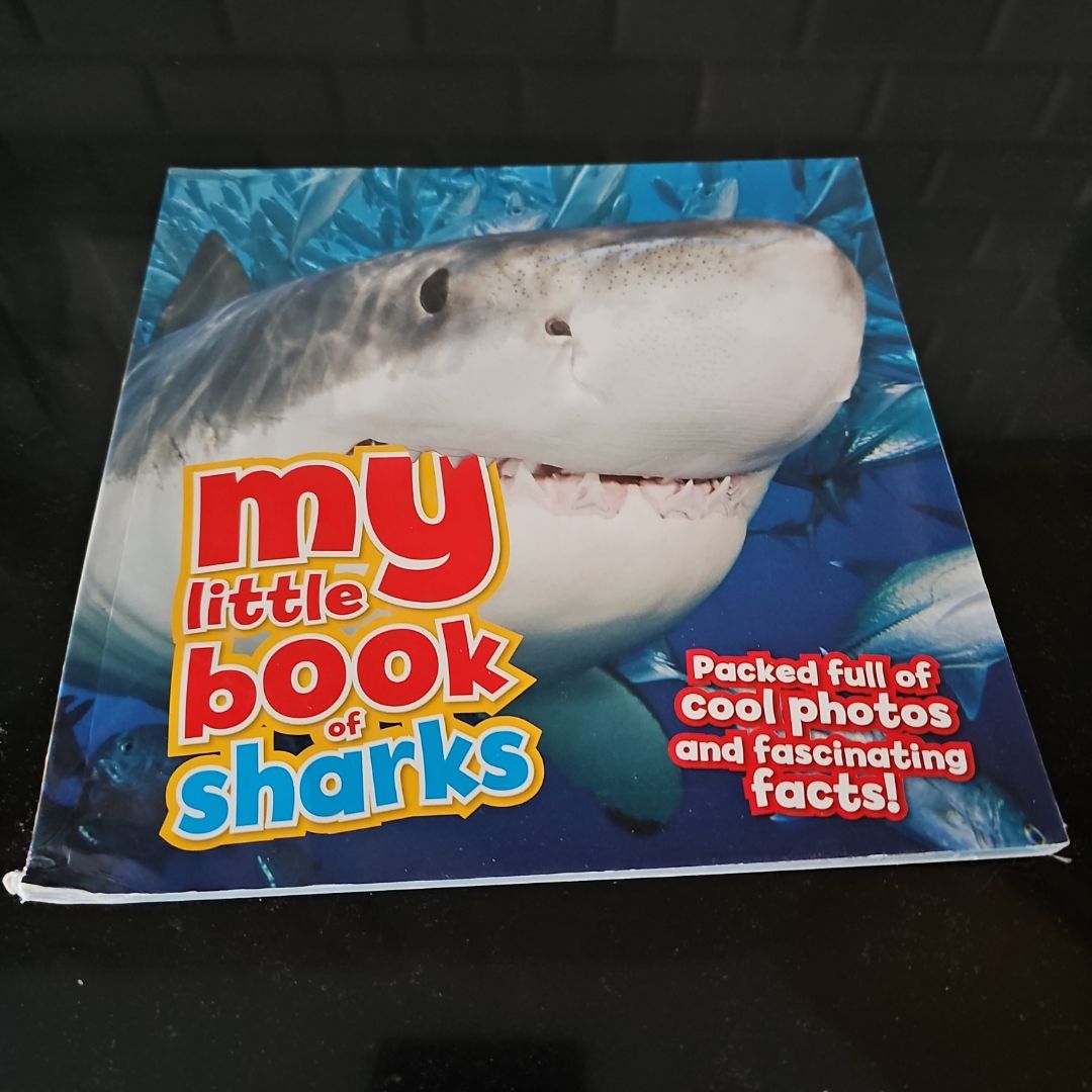 My Little Book of Sharks