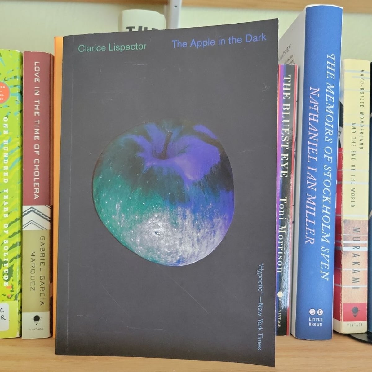 The Apple in the Dark by Clarice Lispector, Benjamin Moser