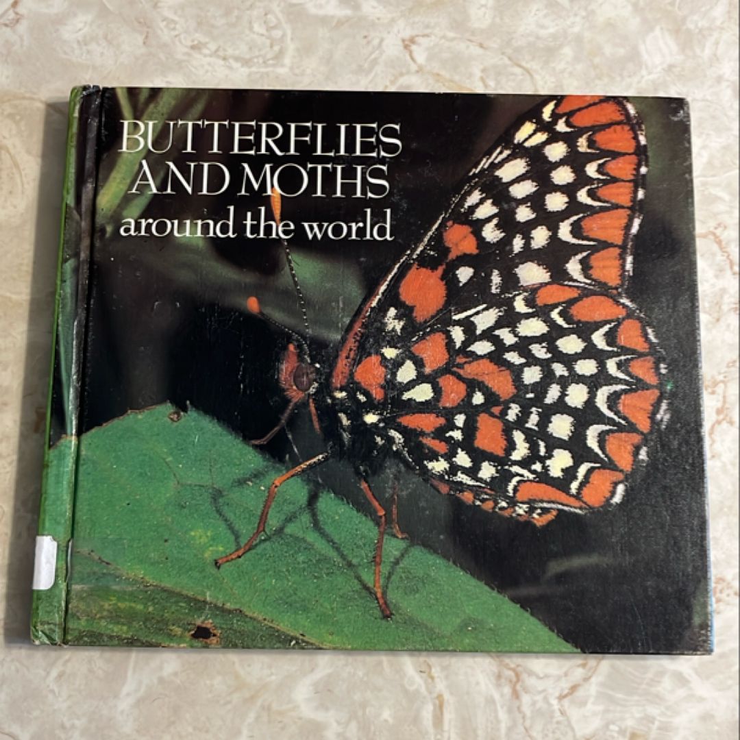 Butterflies and Moths Around the World