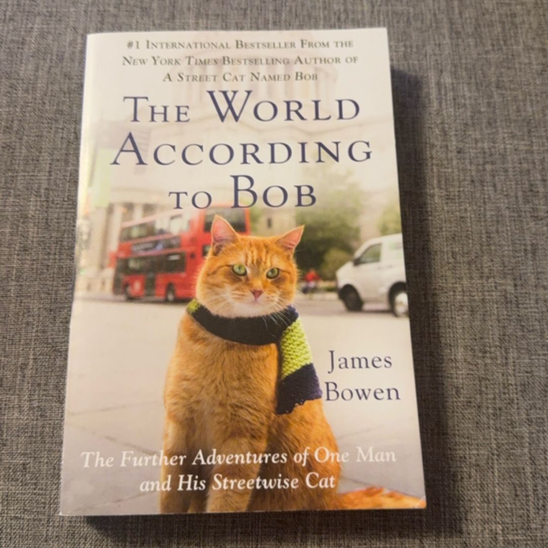 The World According to Bob