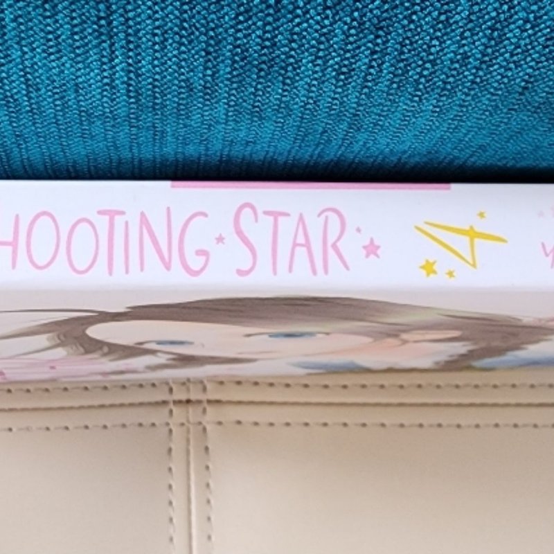 Daytime Shooting Star, Vol. 4