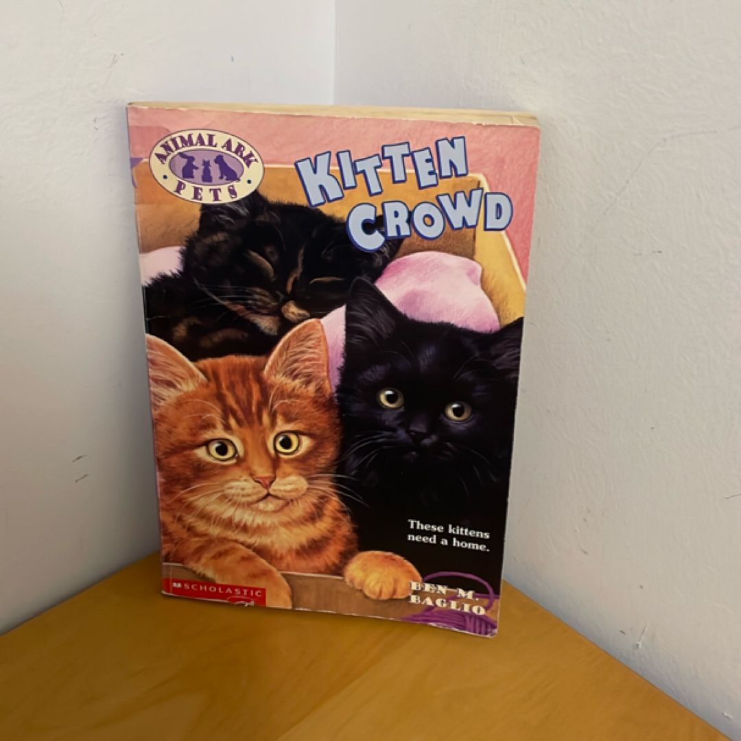 Kitten Crowd
