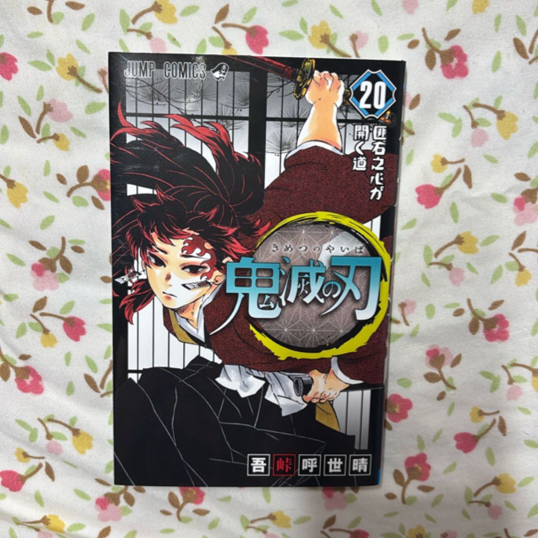 Kimetsu no Yaiba Vol. 20 (Japanese edition)