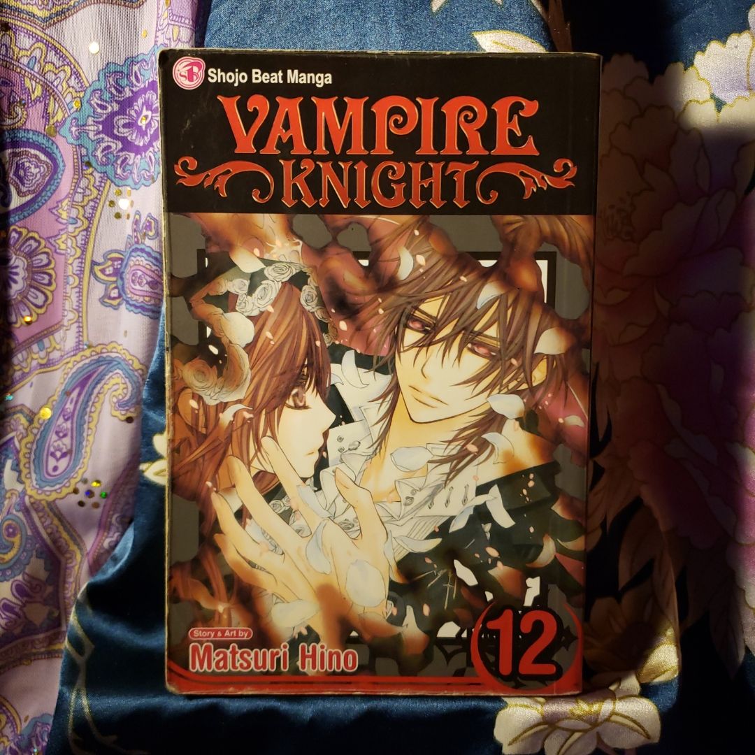 Vampire Knight, Vol. 12