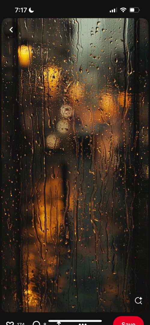Nora Shenk