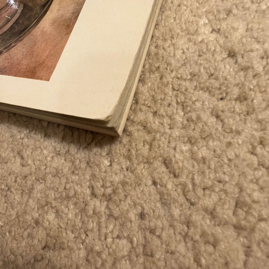 The fantastic art of Sulamith Wulfing