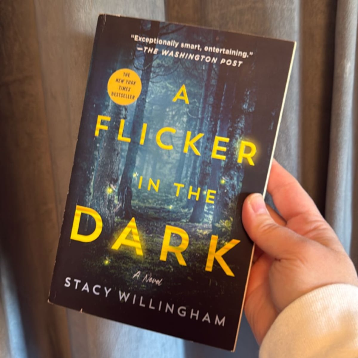 A Flicker in the Dark by stacy Willingham, Paperback | Pangobooks