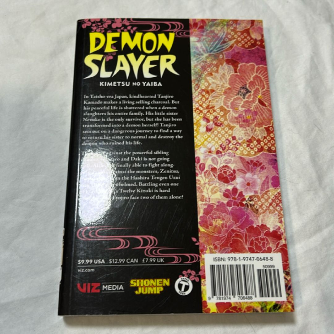 Demon Slayer: Kimetsu No Yaiba, Vol. 11