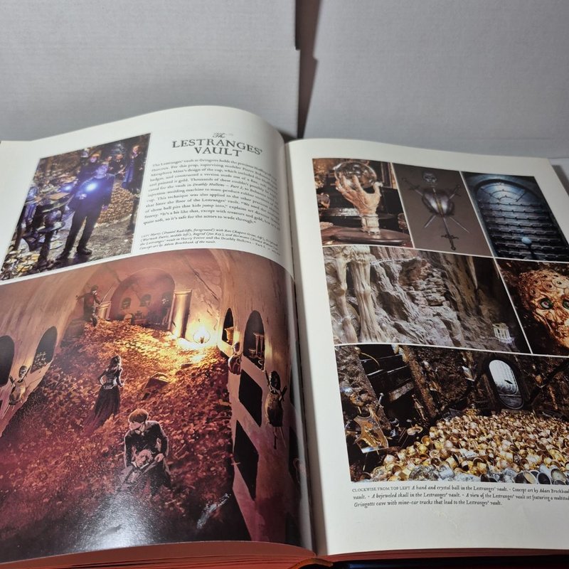 Harry Potter Page to Screen