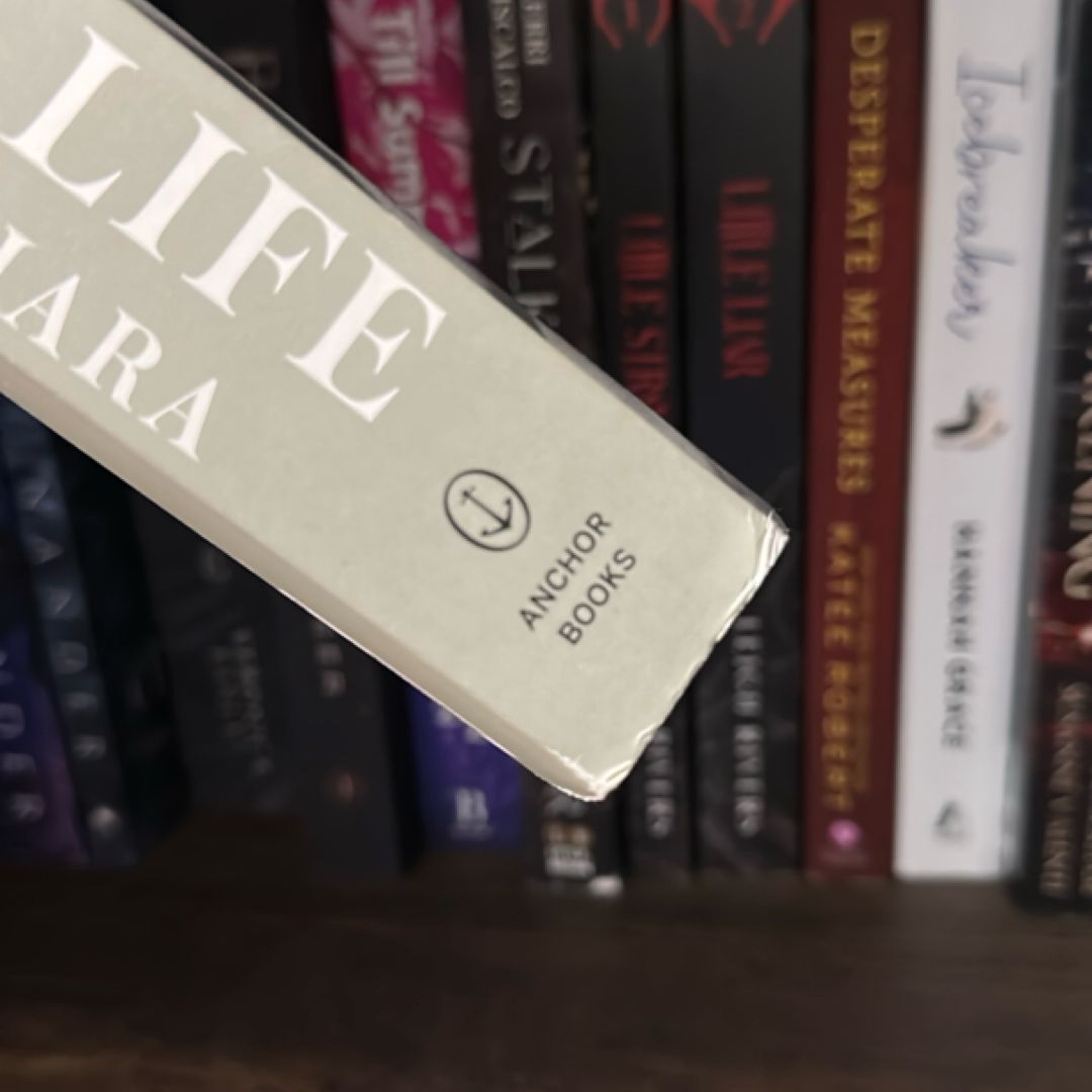 A Little Life by Hanya Yanagihara