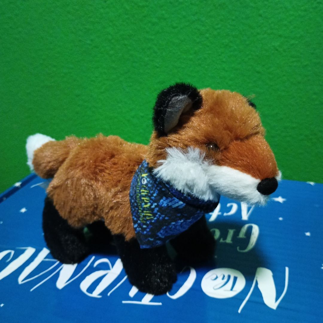 The Nocturnals Grow and Read Activity Box