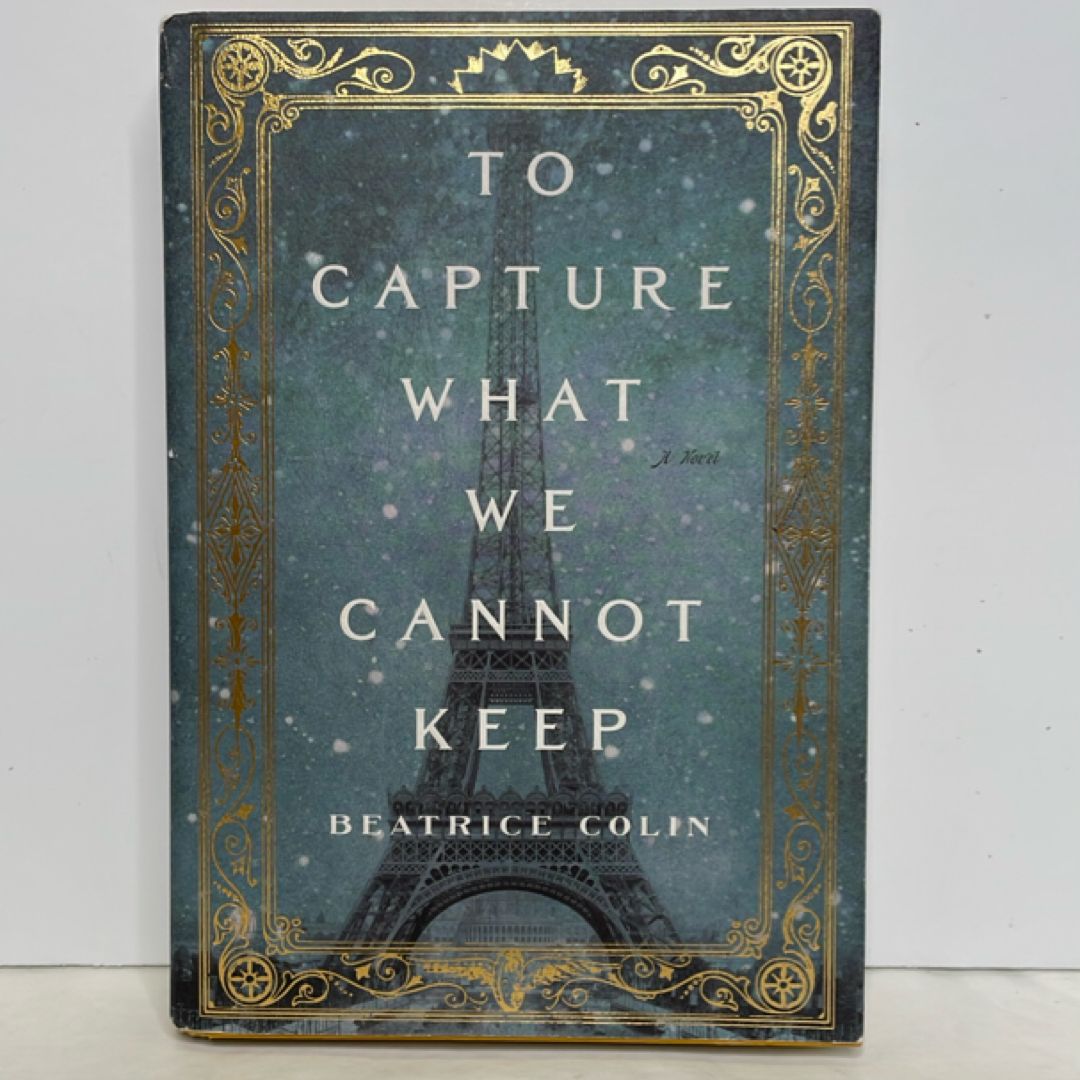 To Capture What We Cannot Keep