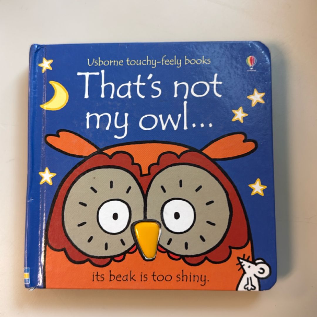 That's Not My Owl-- Its Beak is Too Shiny