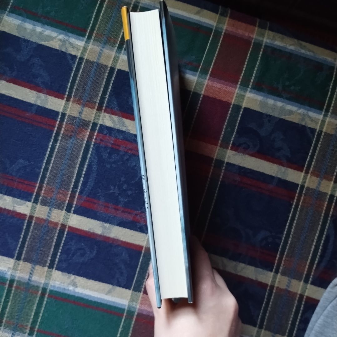 The Wilderwomen 🟣